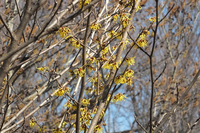 e0339873_202144.jpg