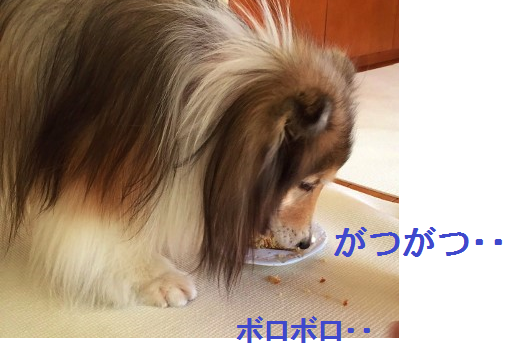 a0157174_19565357.png