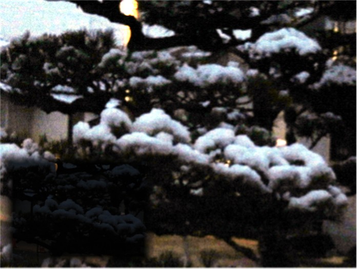 f0003174_10462995.jpg