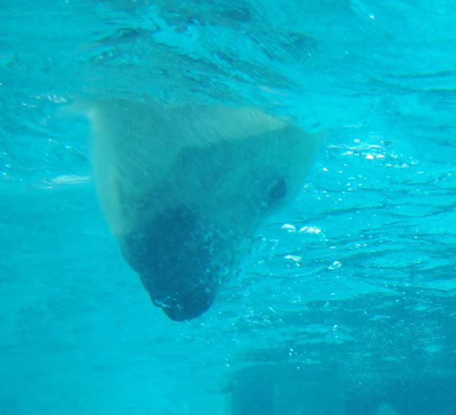 b0014576_20454922.jpg