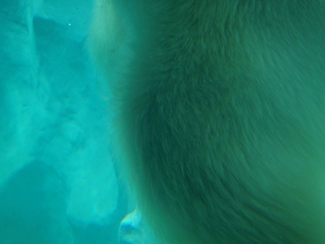 b0014576_20494316.jpg