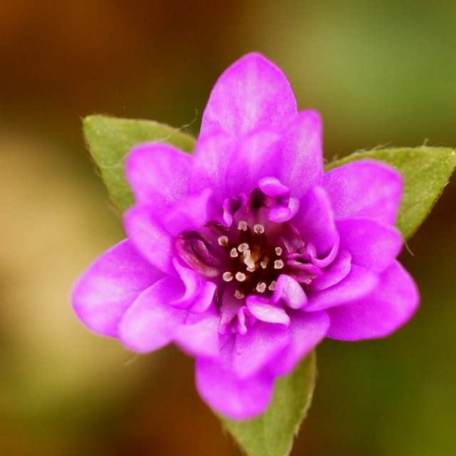 c0183777_20144227.jpg