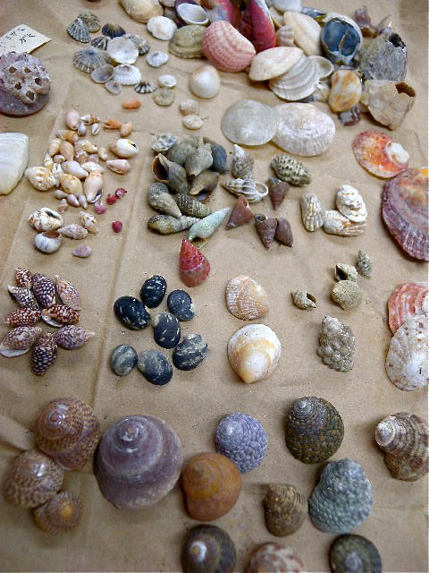 a0199297_22164667.jpg