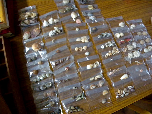 a0199297_221812100.jpg