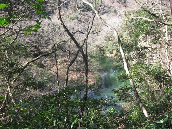 e0245404_221610100.jpg