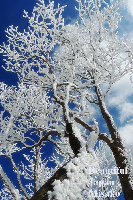青空に映える樹氷の・・・．｡･：*：･ﾟ`☆､｡ - Beautiful Japan 絵空事