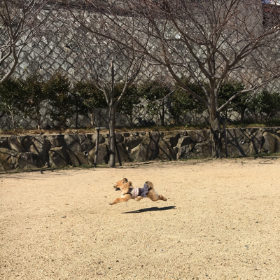 c0084419_15525487.jpg