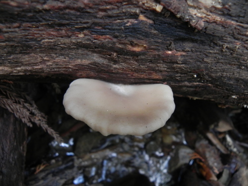 e0352220_20363404.jpg
