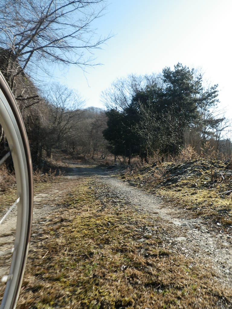 c0189724_177047.jpg
