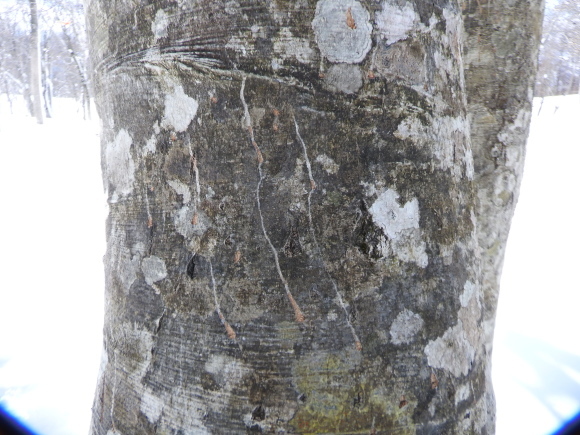 f0118332_23370548.jpg