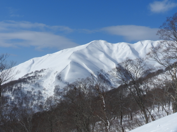 f0118332_23441000.jpg