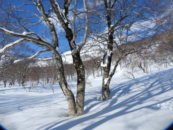 f0118332_23504044.jpg