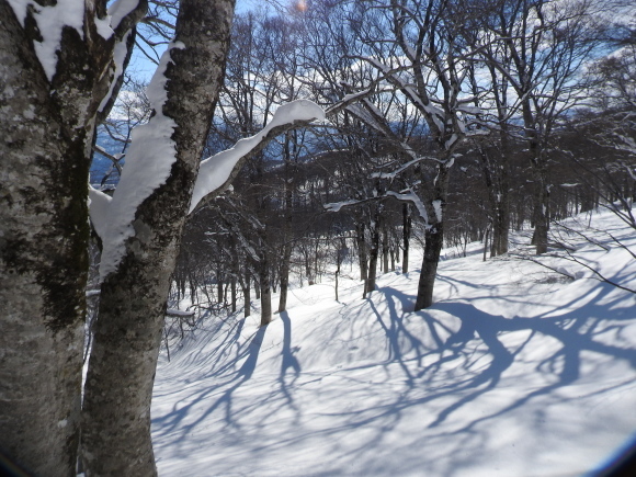 f0118332_23510321.jpg