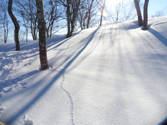 f0118332_23560703.jpg