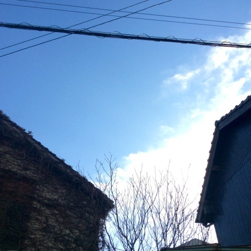 c0340351_16370891.jpeg