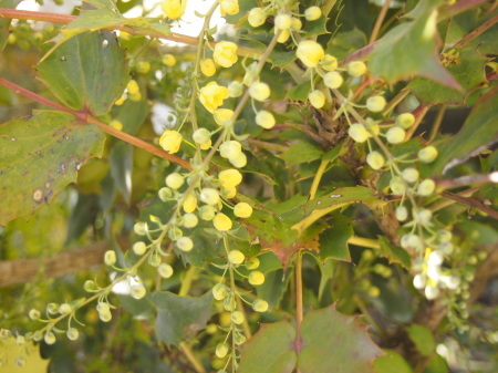 b0246758_21421887.jpg