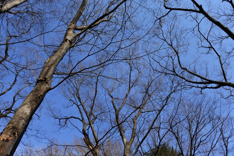 b0116765_21581652.jpg