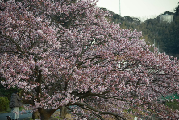 b0242873_23222371.jpg