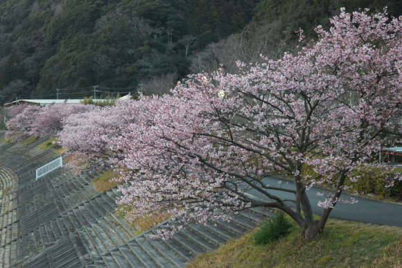 b0242873_23251375.jpg
