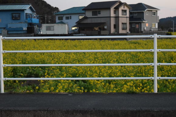 b0242873_23265627.jpg