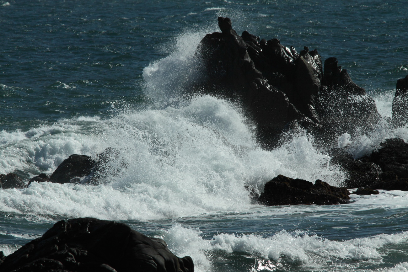 e0249878_21073419.jpg