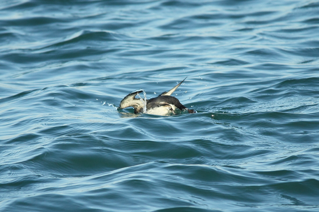 e0249878_21240063.jpg