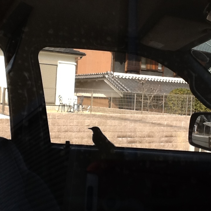 b0330288_18341789.jpeg