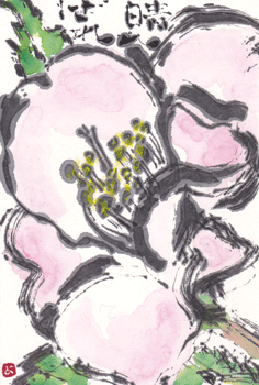 a0030594_23343215.gif