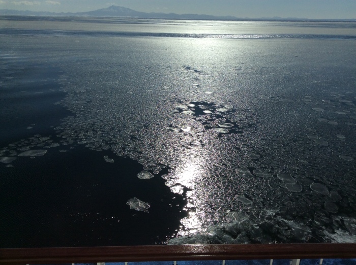 f0268294_01070898.jpeg