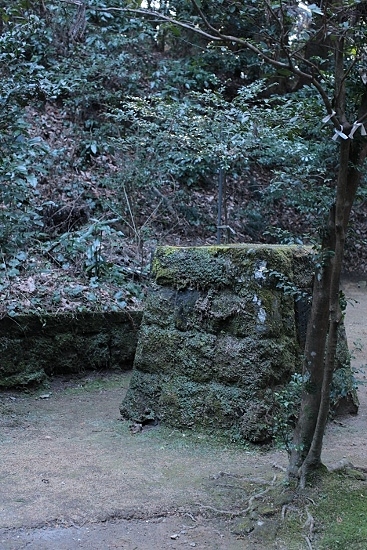 e0209997_2015625.jpg