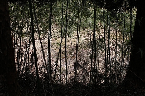e0209997_2033740.jpg