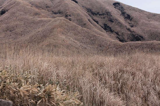 e0209997_2035442.jpg