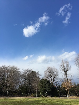 a0134004_9391396.jpg