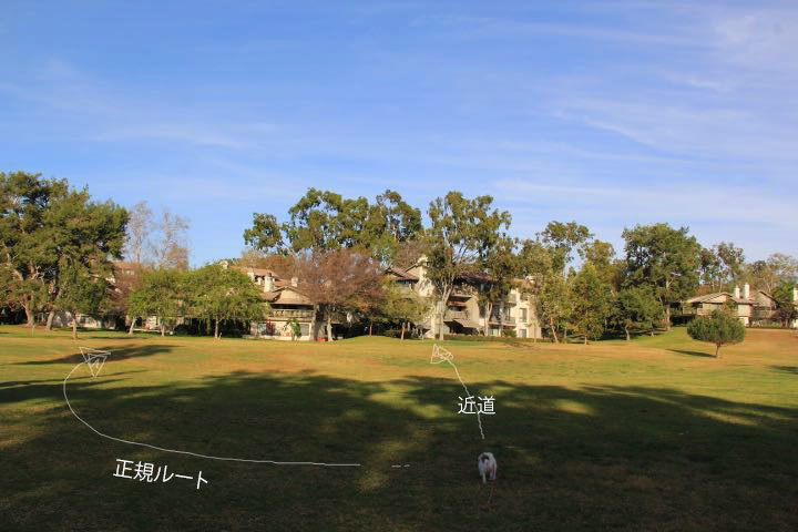 c0327528_12545764.jpg