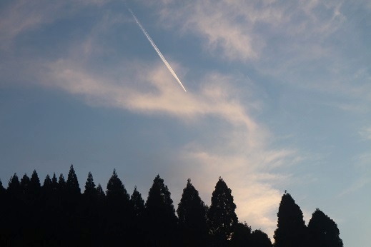 b0184636_1741210.jpg