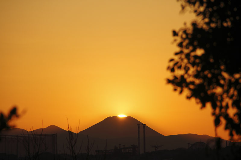 b0042837_22215941.jpg