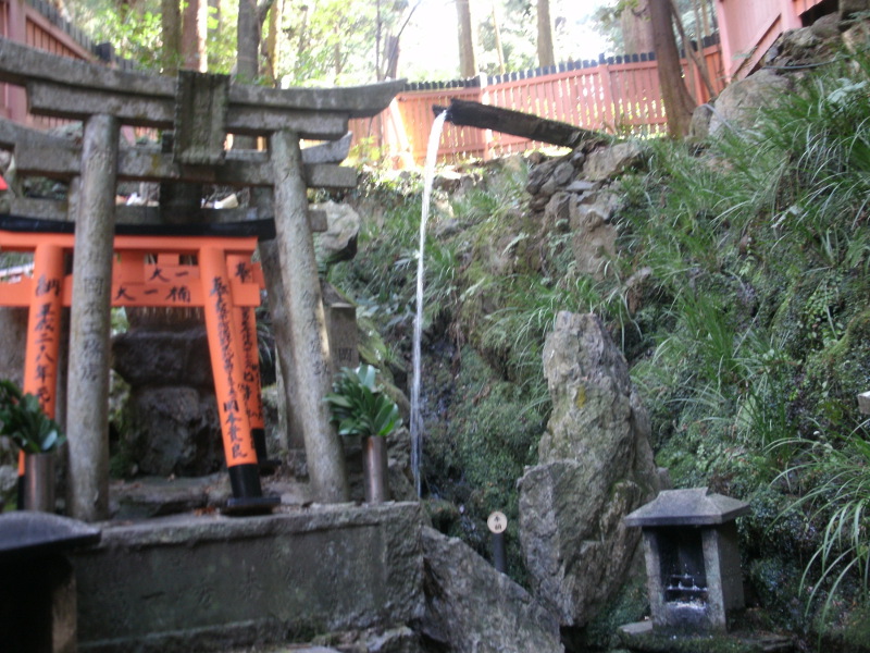 a0054041_17351328.jpg