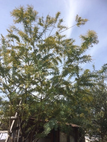 c0202865_13032319.jpg