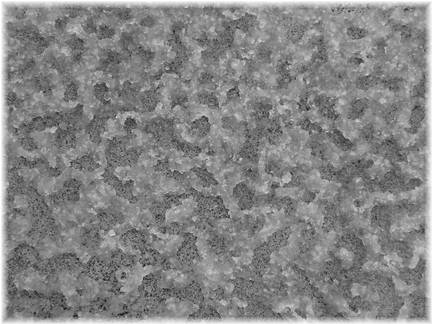 d0337265_19442741.jpg
