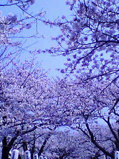 c0336266_11545659.jpg
