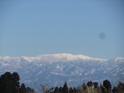 b0149071_1537336.jpg
