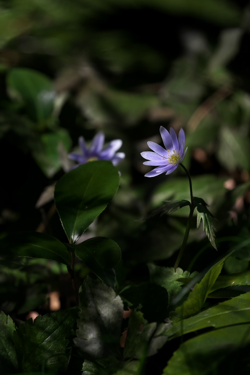 a0083081_15143349.jpg