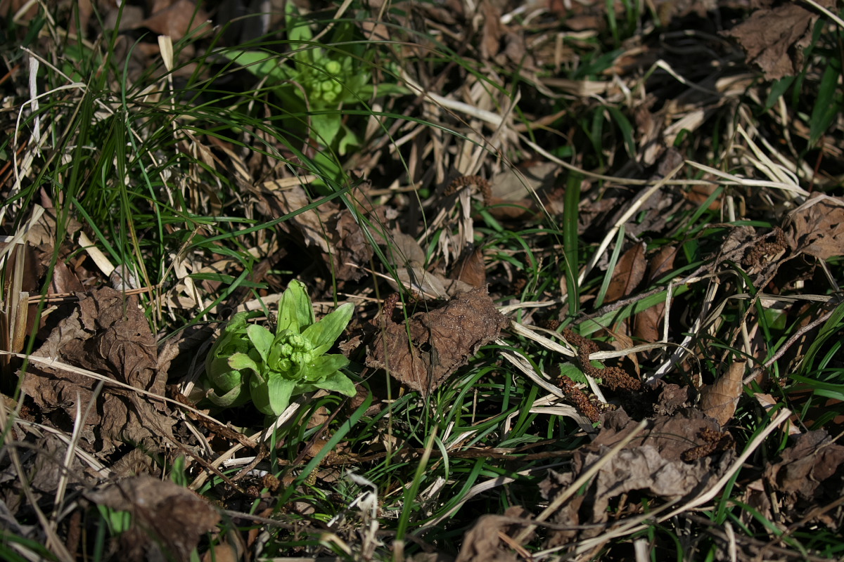 a0083081_15151226.jpg