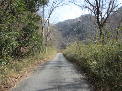 a0251786_21103623.jpg