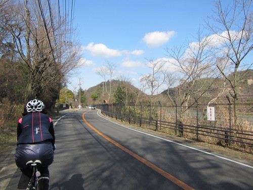 a0251786_213192.jpg