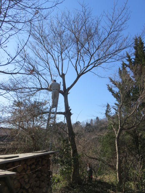 c0323917_0214124.jpg