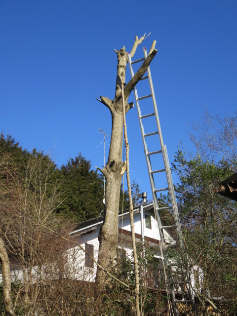c0323917_0244868.jpg