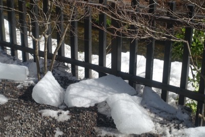 e0192217_1073191.jpg