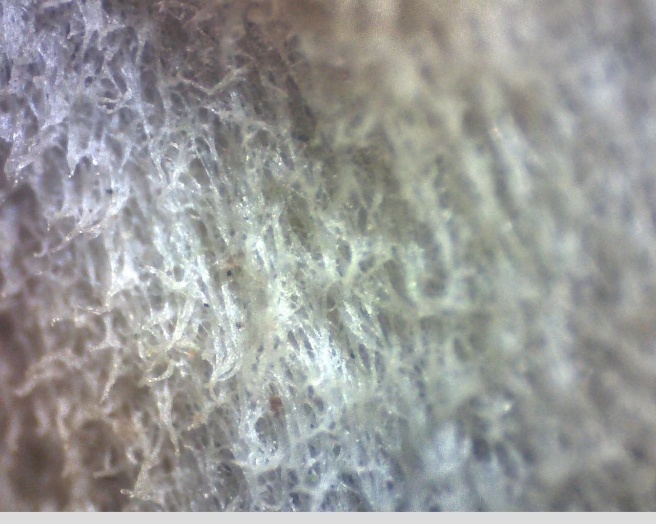 e0352220_08525637.jpg