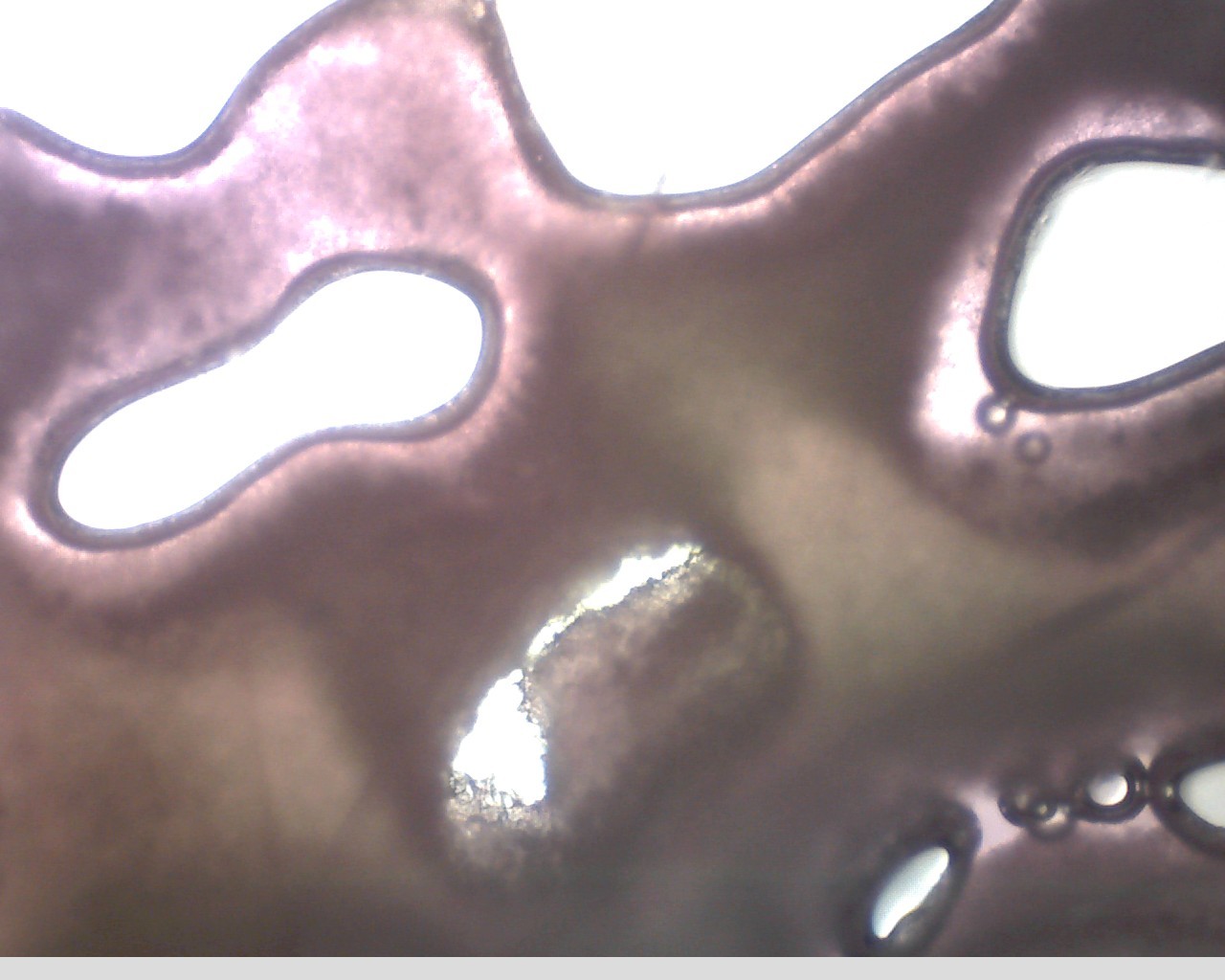 e0352220_15280205.jpg
